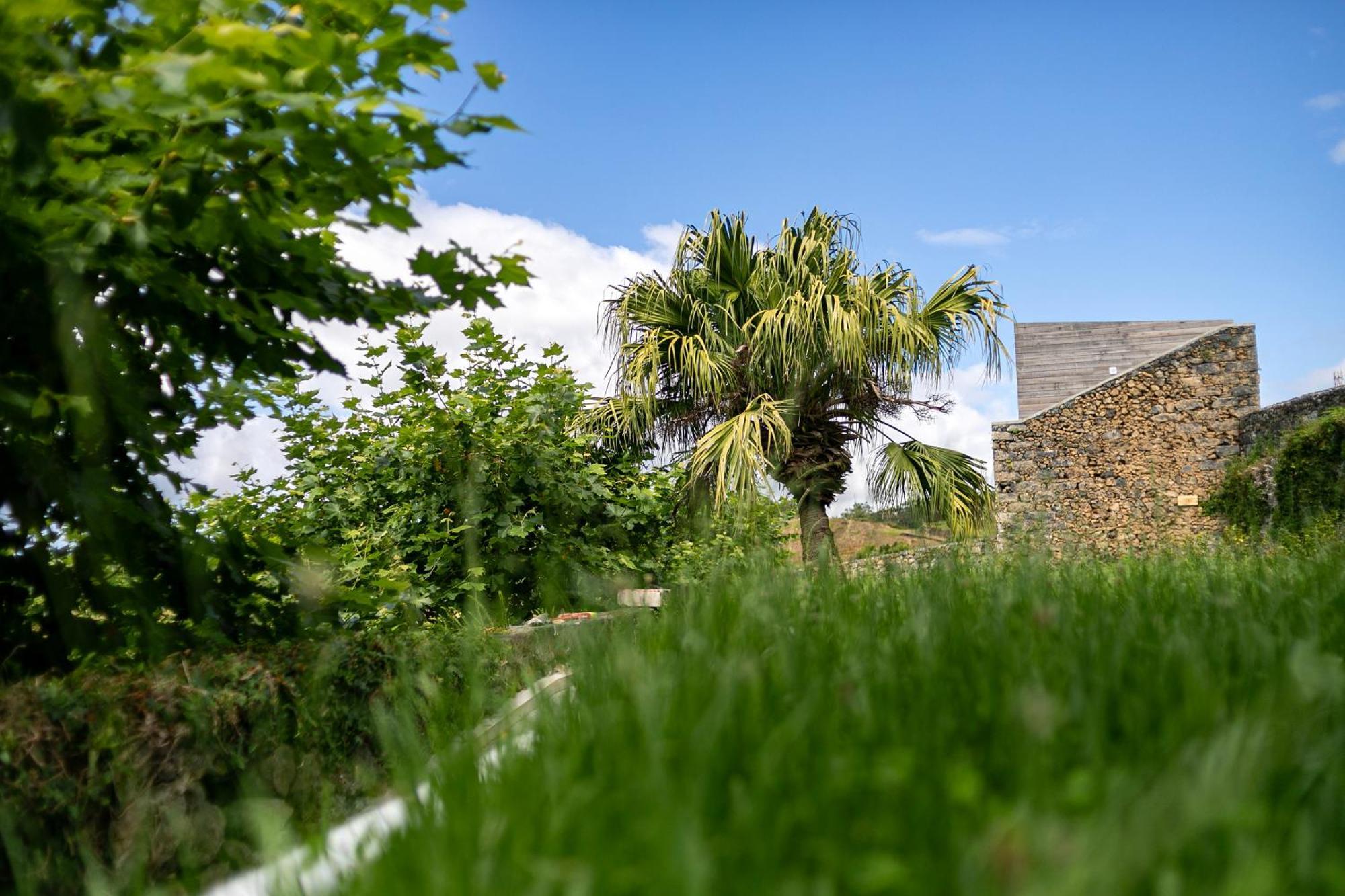 Solar Branco Eco Estate Villa Ponta Delgada  Exterior photo